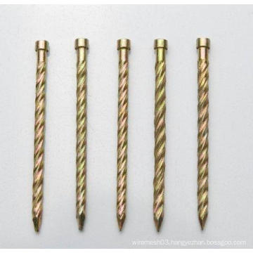 Hot-selling polished common nails/roofing nails/flat head nails